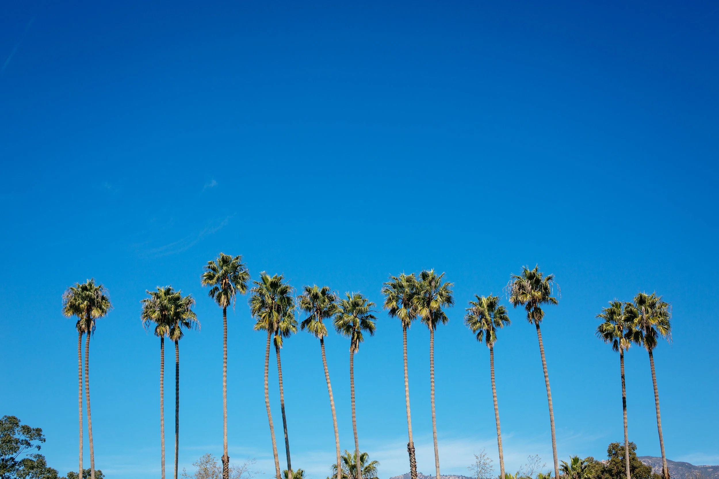 santa barbara califormia
