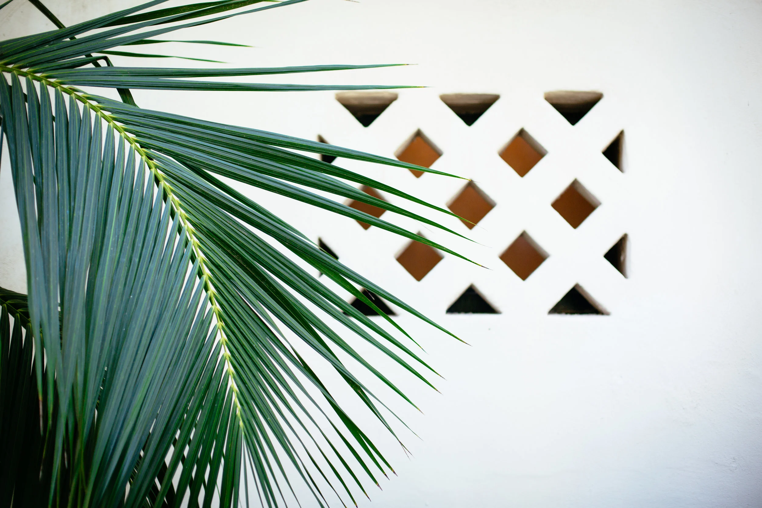 four seasons santa barbara