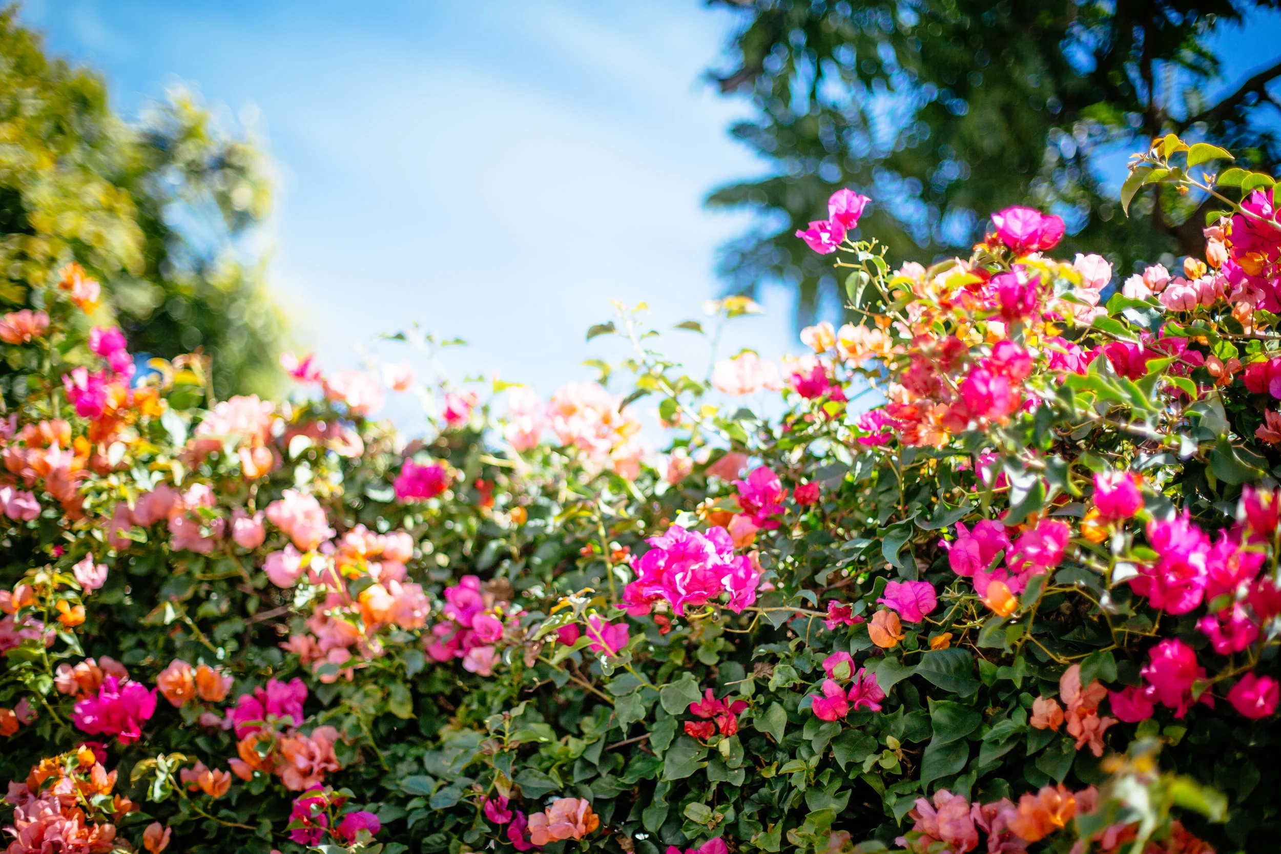 santa barbara califoria