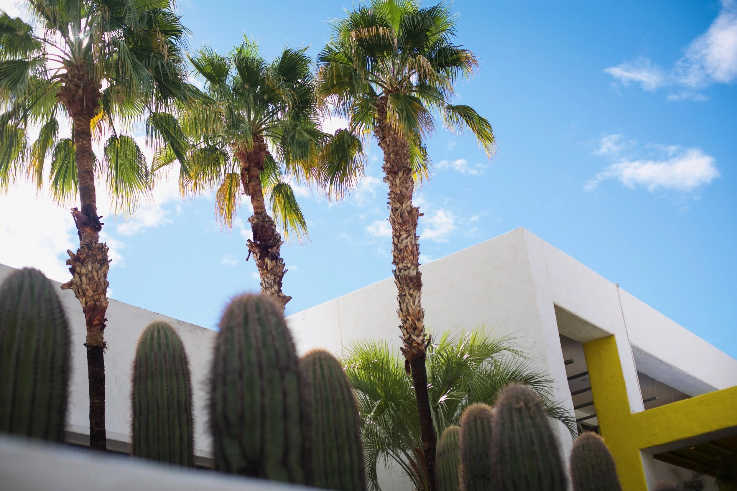 the saguaro scottsdale arizona