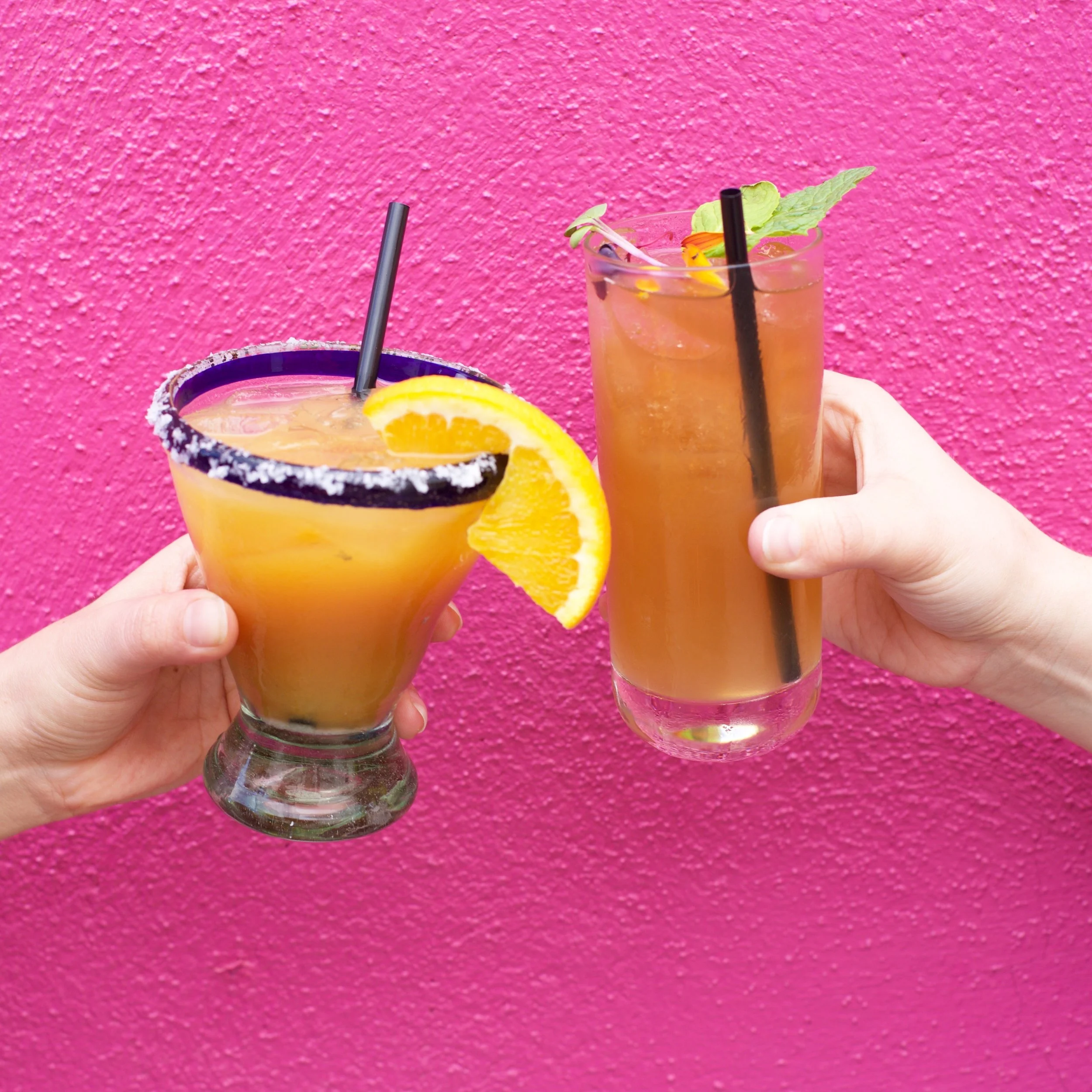 the saguaro scottsdale arizona