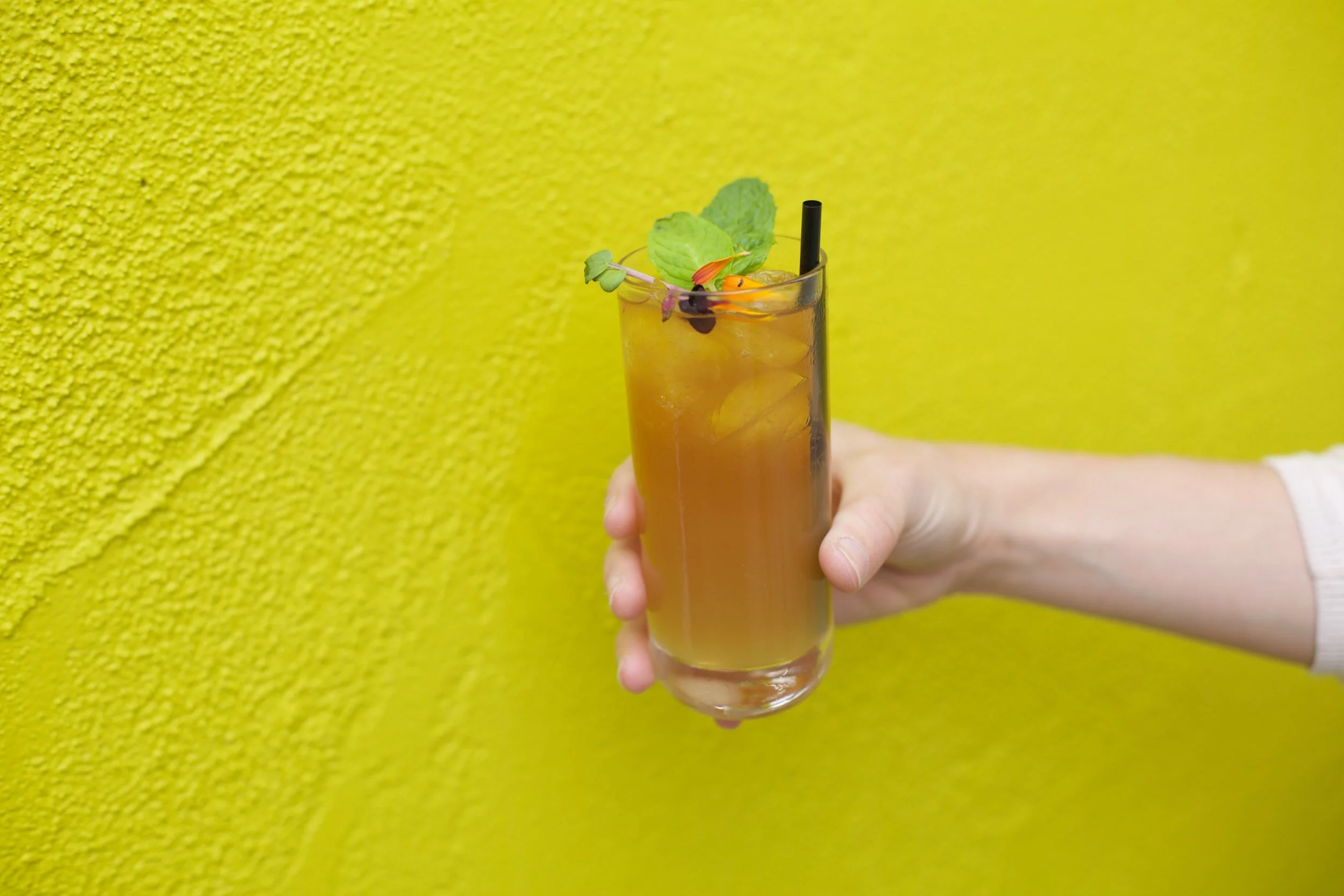 the saguaro scottsdale arizona