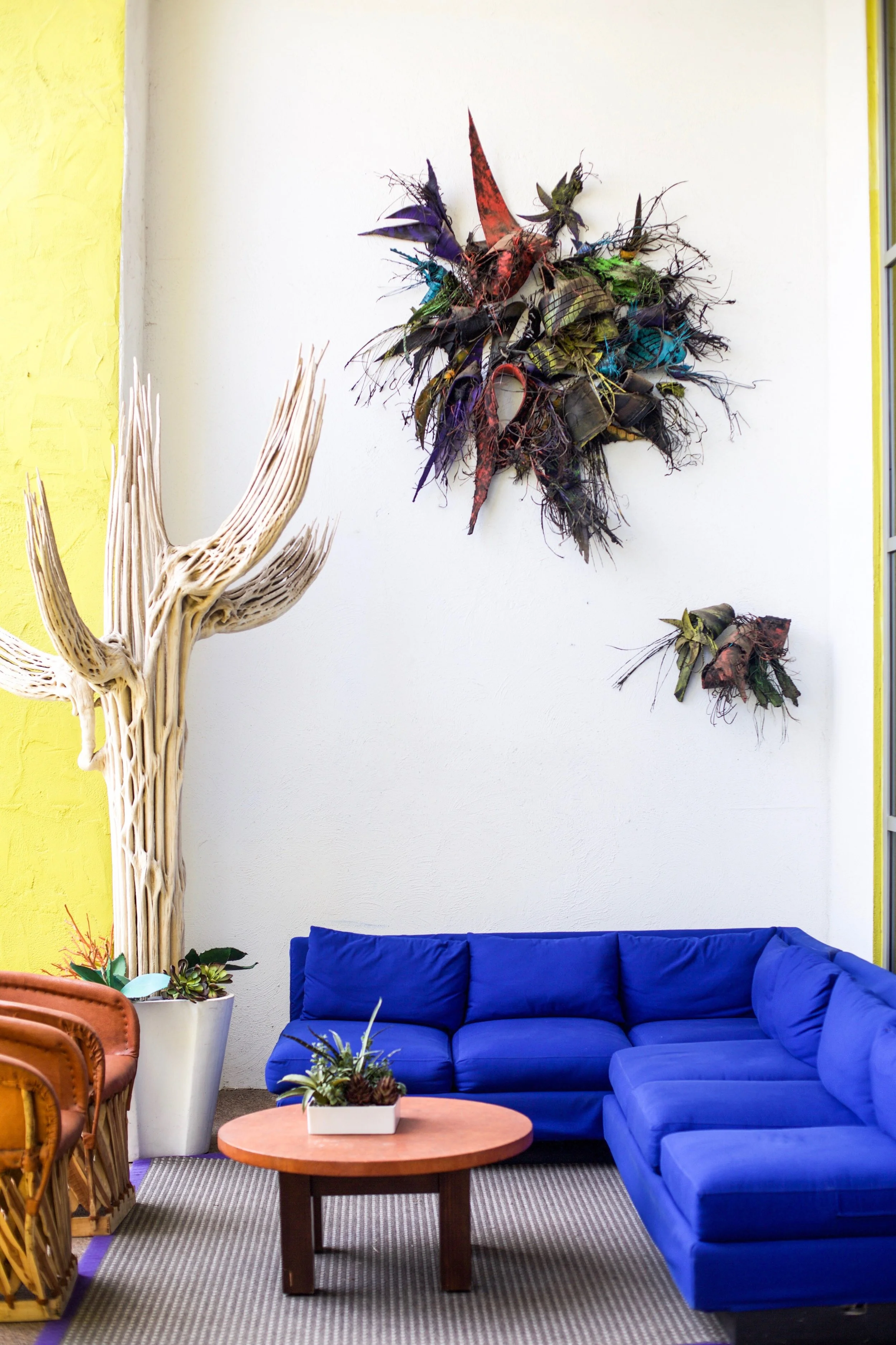 the saguaro scottsdale arizona