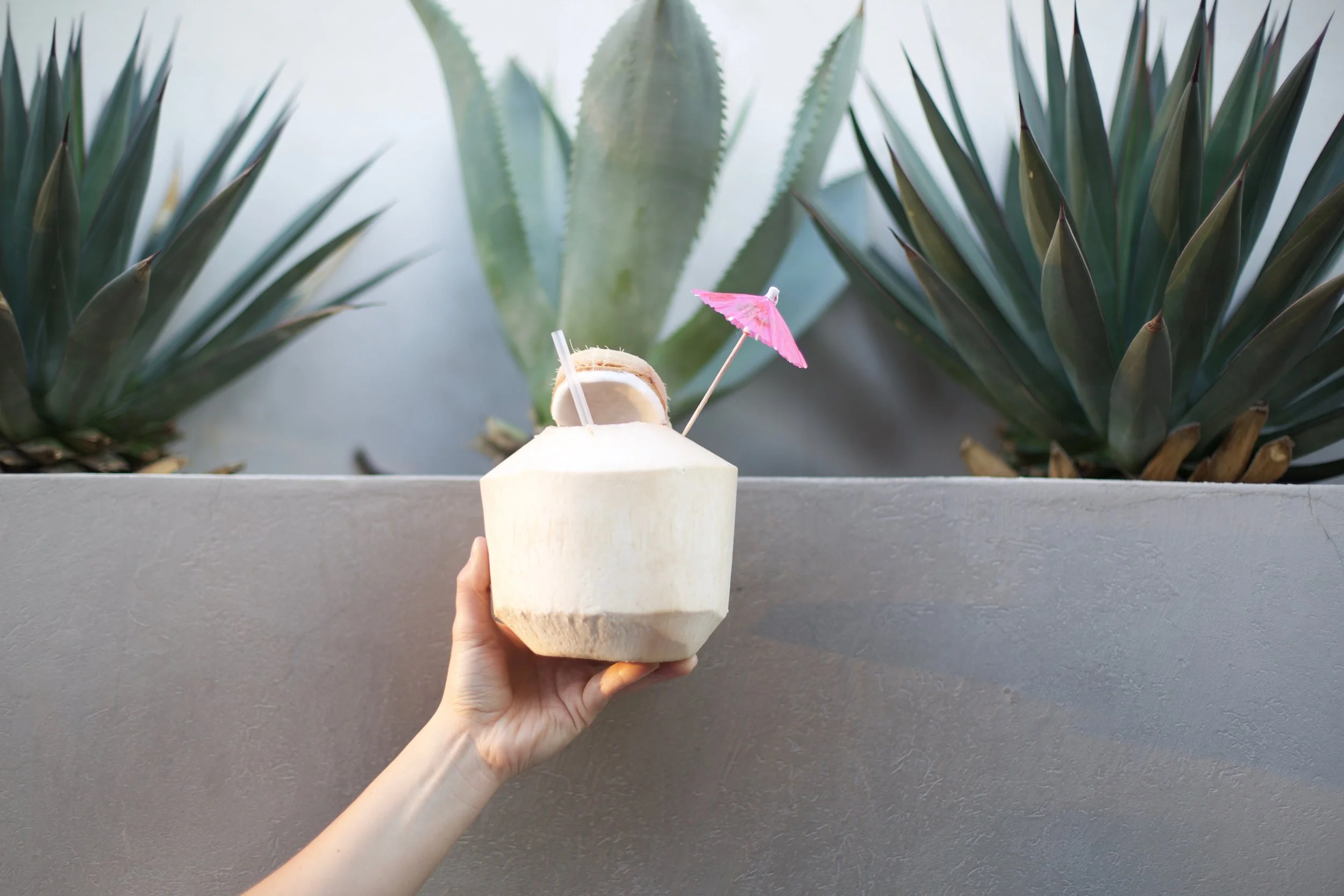 diego pops coconut cocktail