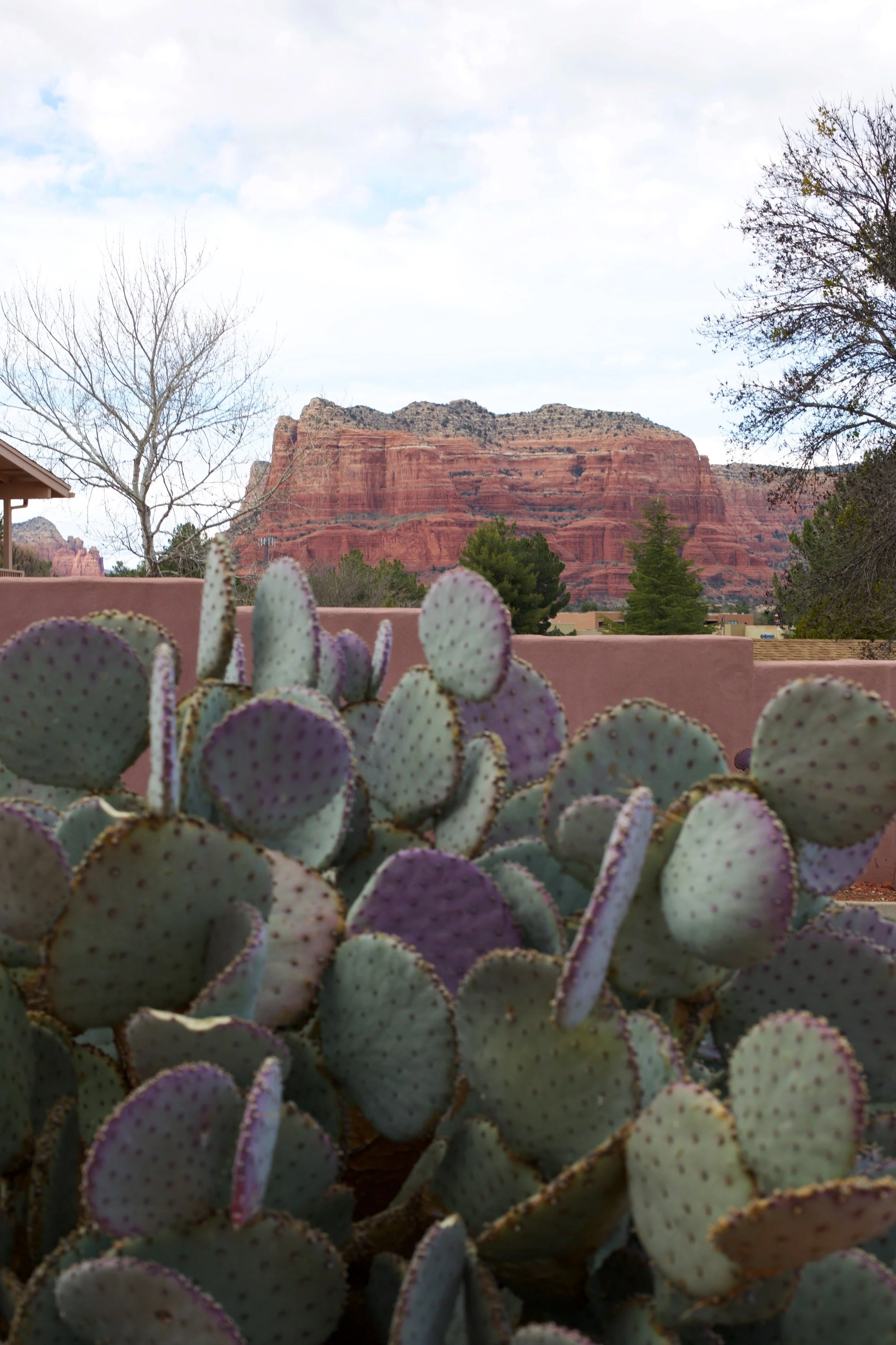 hilton bell rock sedona arizona