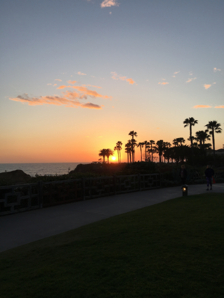 laguna beach sunset