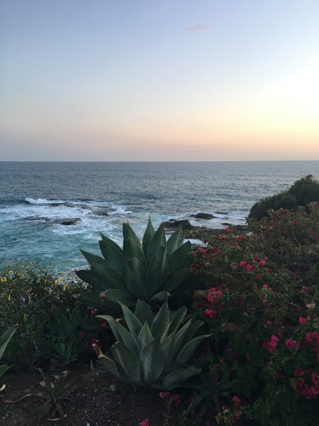 laguna beach montage