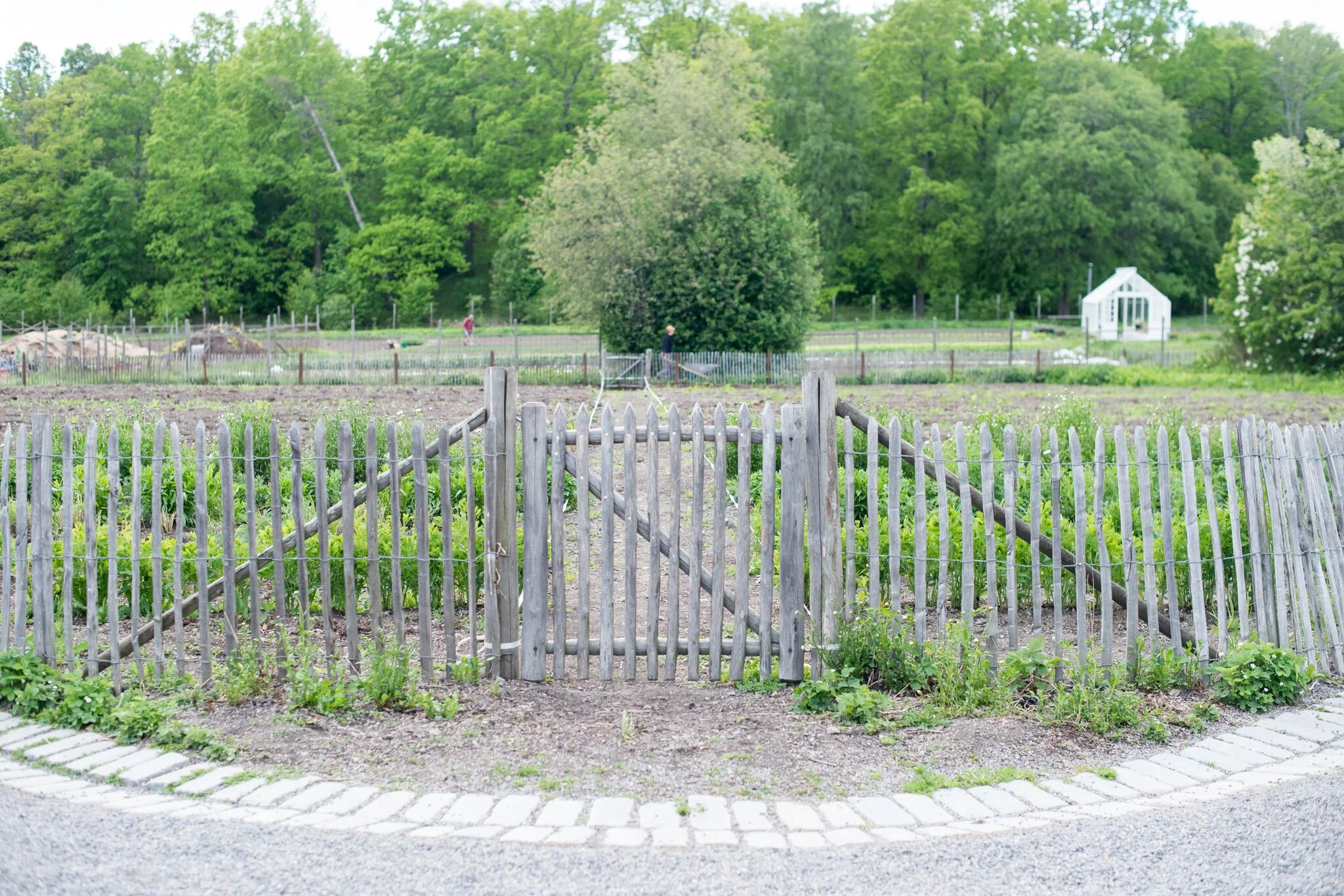 Rosendals Trädgård stockholm