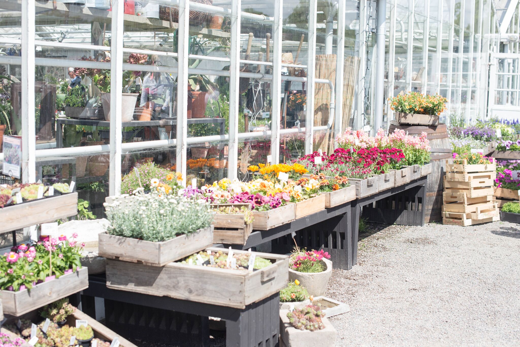 Rosendals Trädgård stockholm