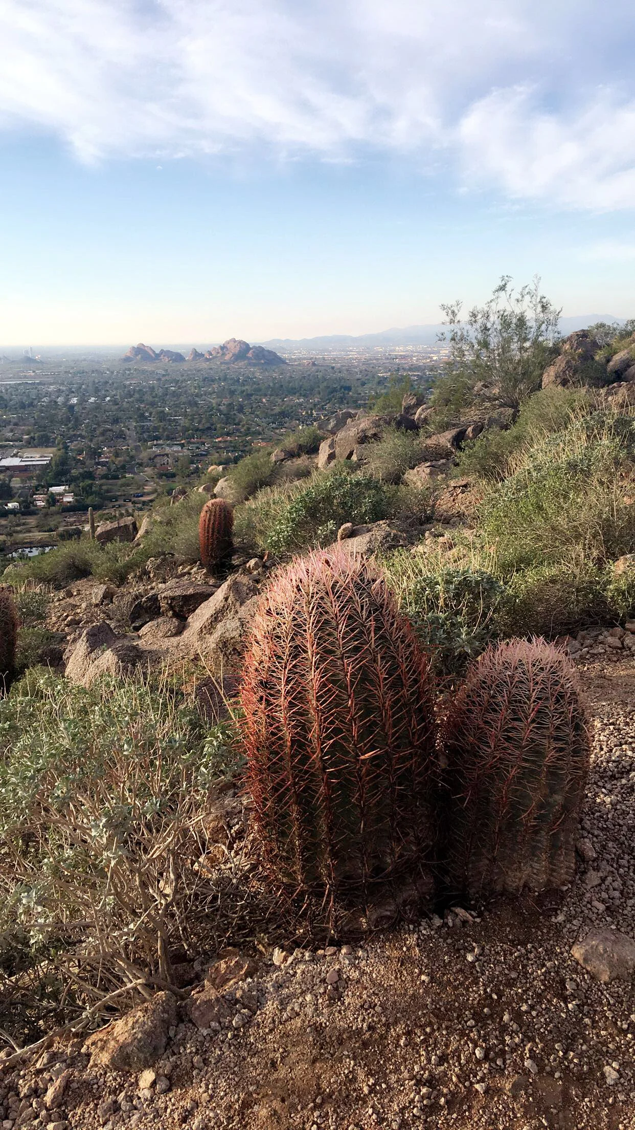 camelback mountain scottsdale