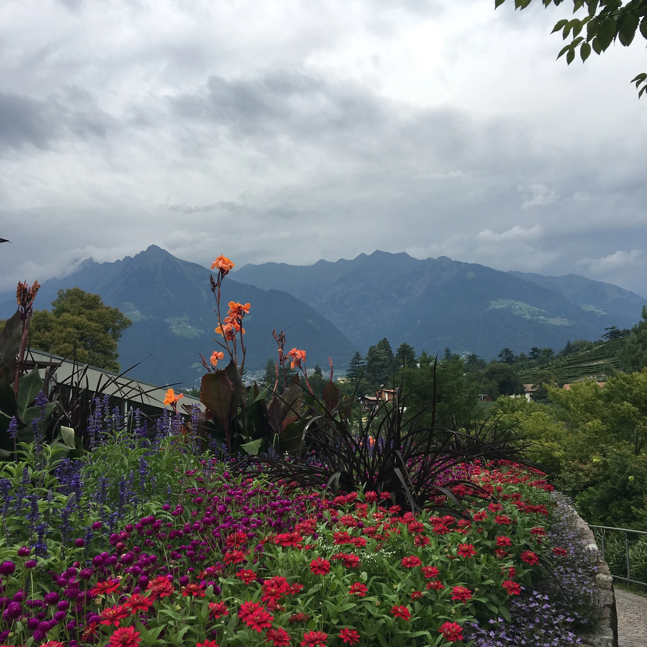 traus gardens merano south tyrol italy