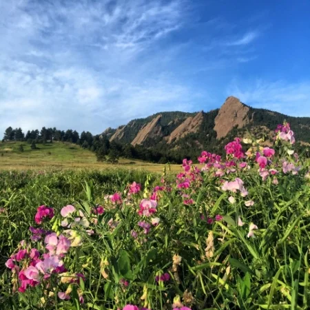 chautauqua park flatirons boulder colorado