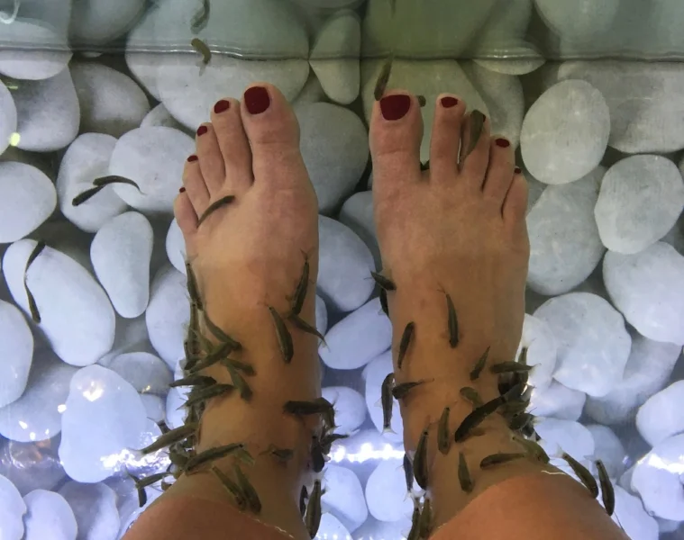 kissingfish santorini fish pedicures