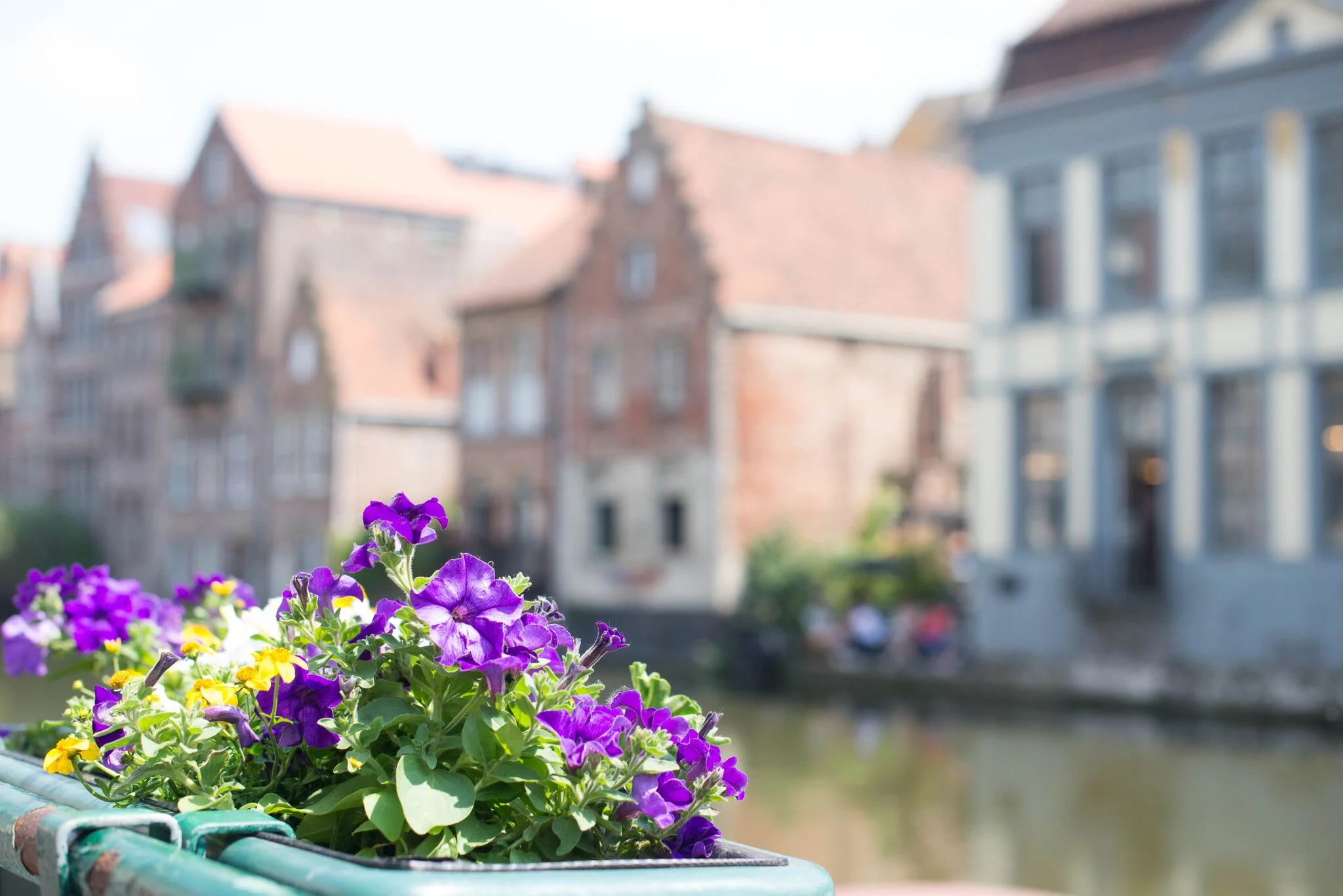 Photos by Sarah Catherine Design