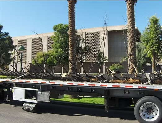 A 40-foot reminder of the devastation in Arizona’s forests