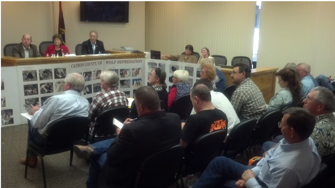 Griffin, Gowan, Stevens hold wolf hearing in Clifton
