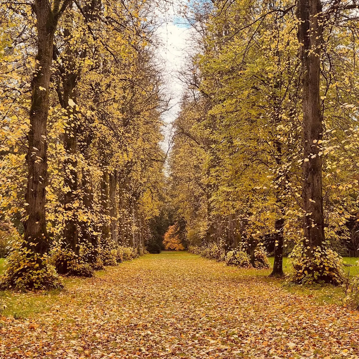 Light tomorrow with today.