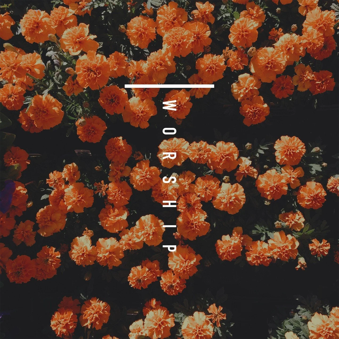 We were created to worship.