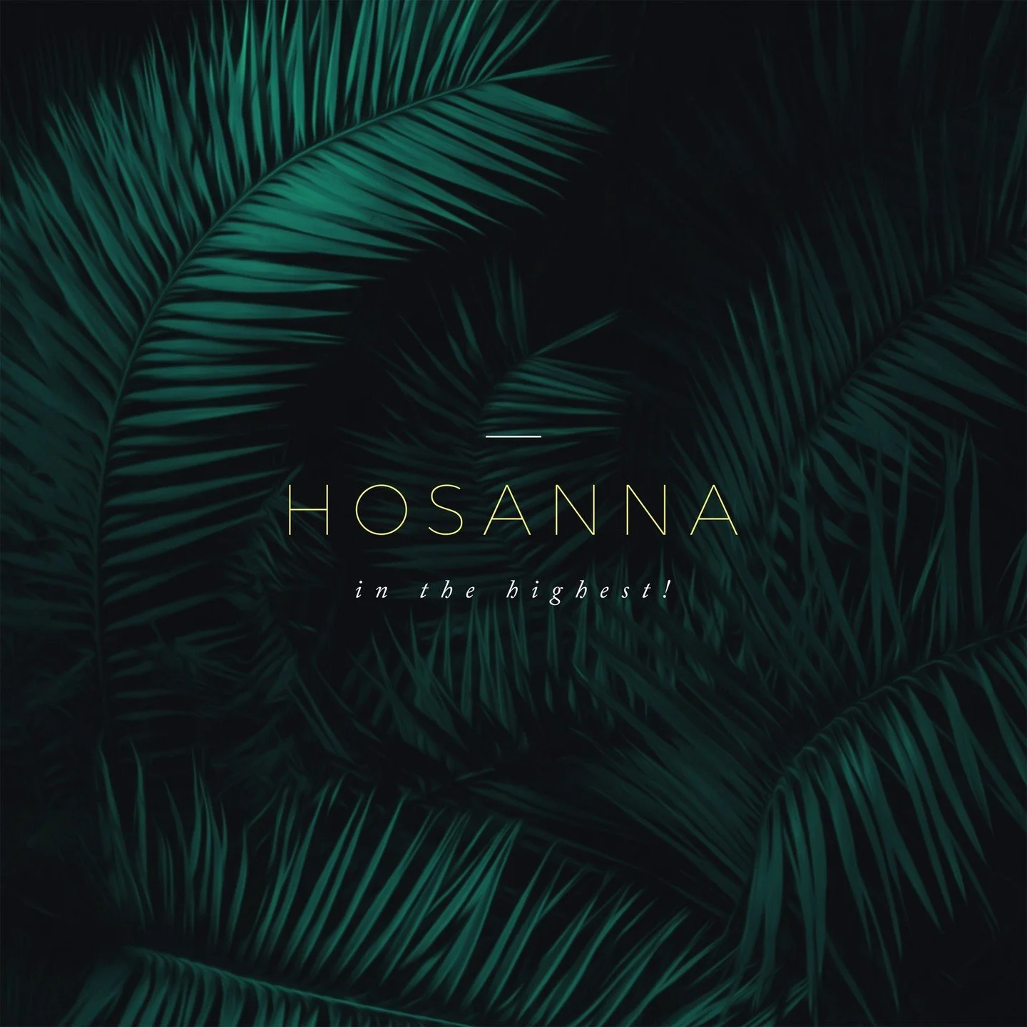 And the crowds that went before him and that followed him were shouting... "Hosanna in the highest!" - Matthew 21:9
