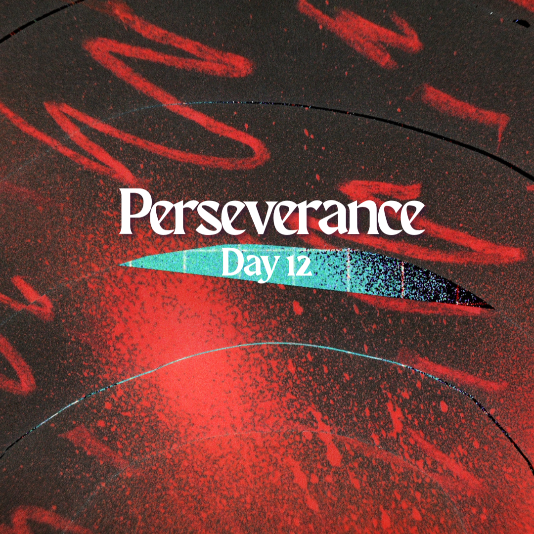 Day 12: Perseverance