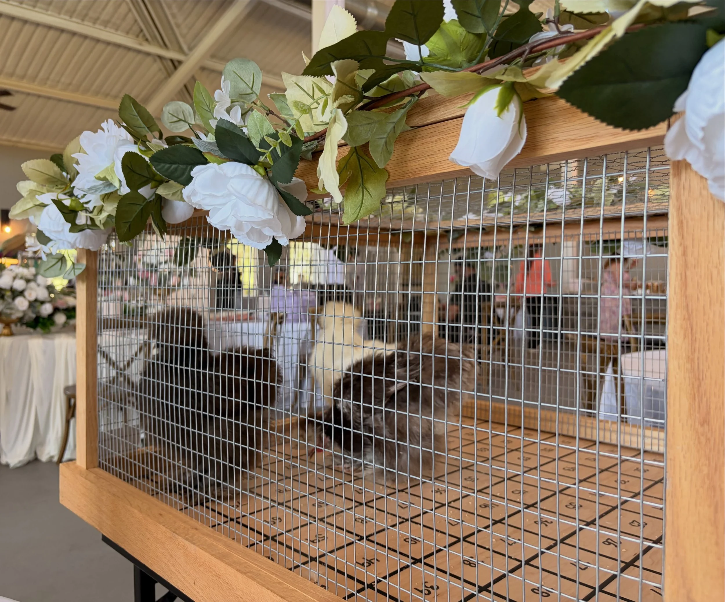 💍🐔 The Honeymoon Hen&trade;
The Wedding Version of Chicken Sh*t Bingo

Looking for a wedding activity your guests have never seen before?

Introducing The Honeymoon Hen&trade; - part entertainment, part guest experience, and part honeymoon fundrais