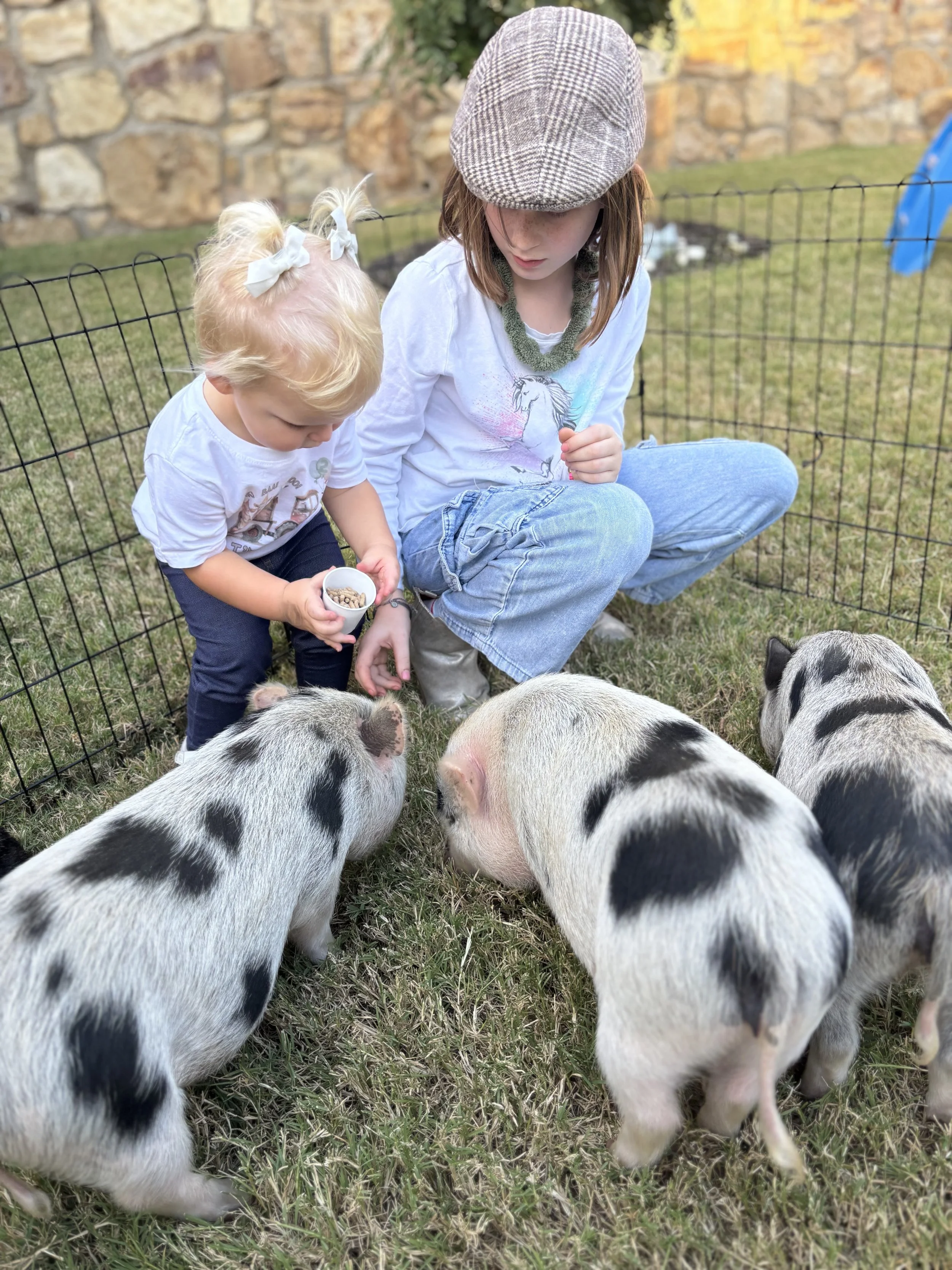 mobile petting zoo North Texas