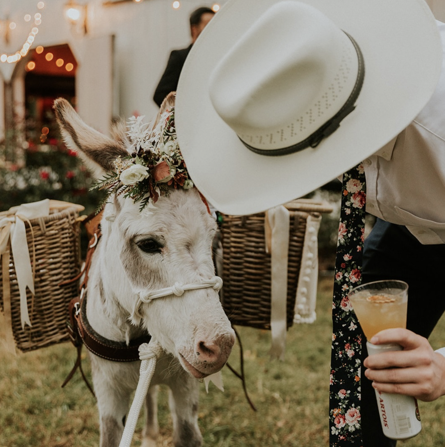 A white donkey with a floral wreath around its neck, carrying woven baskets on its sides, is standing outdoors at what seems to be a festive event. A person in a white cowboy hat, floral necktie, and white shirt is leaning down to pet the donkey, while holding a cocktail drink in their hand. The background features some blurred lights and wooden baskets.