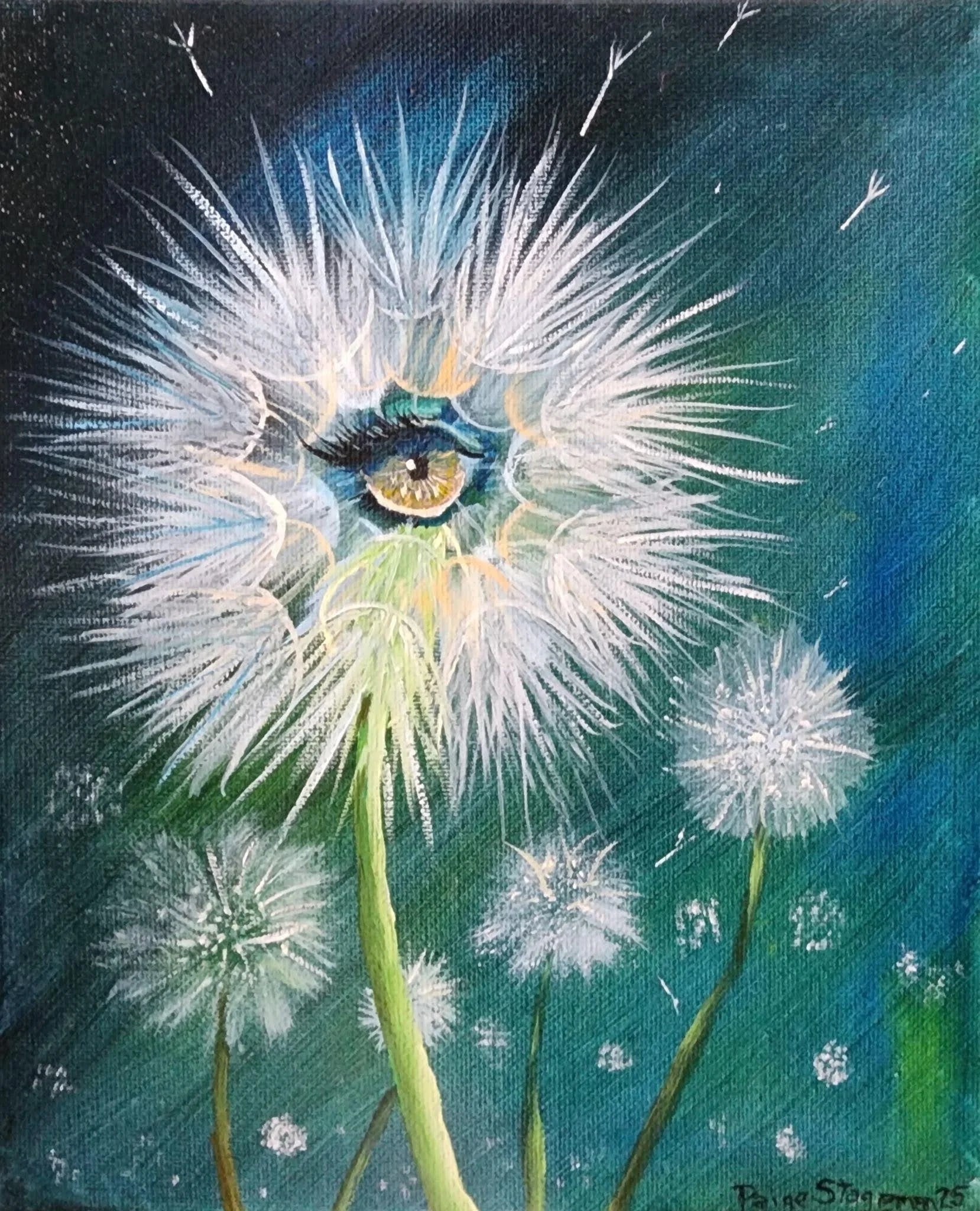 Eye Wish