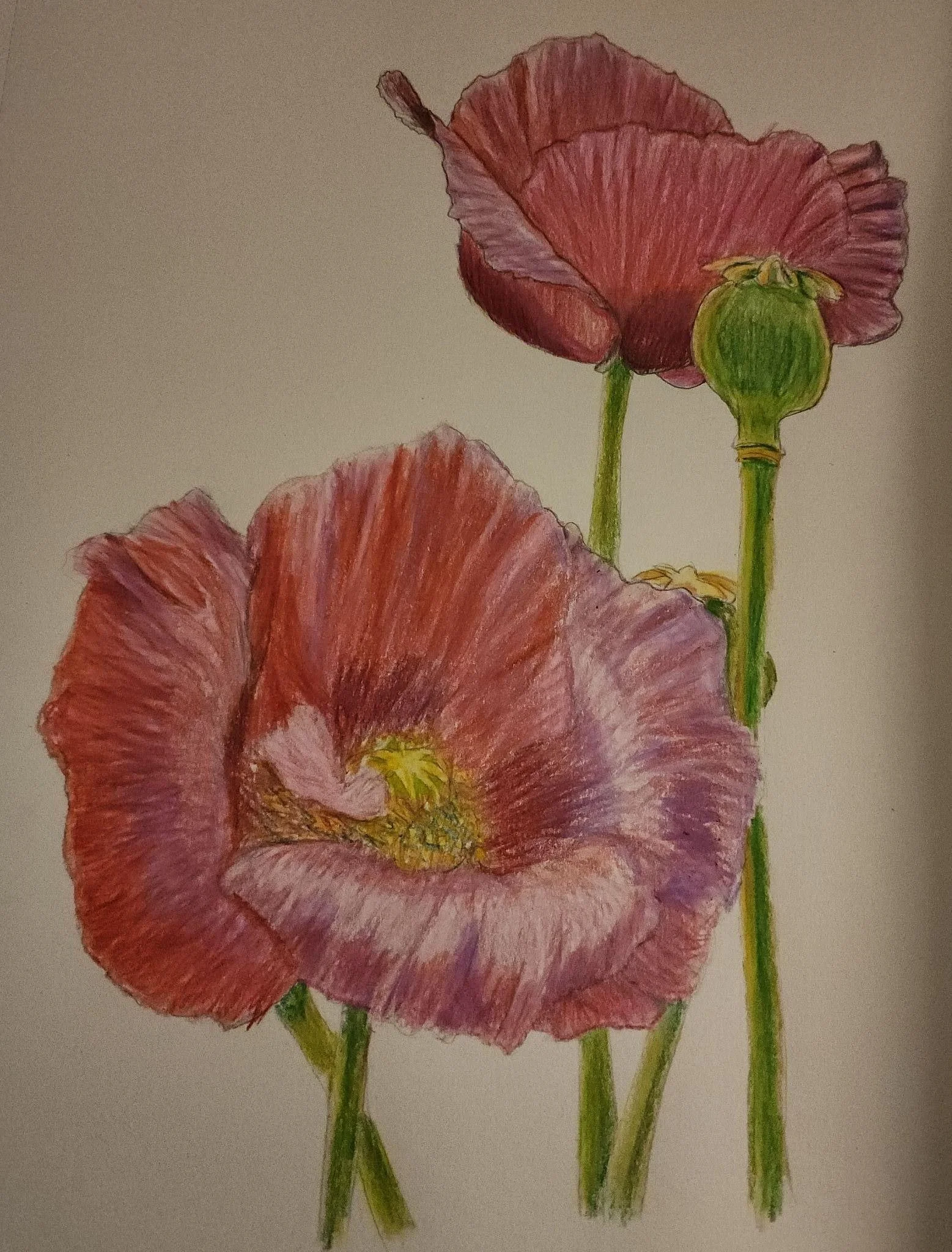 Flower Power