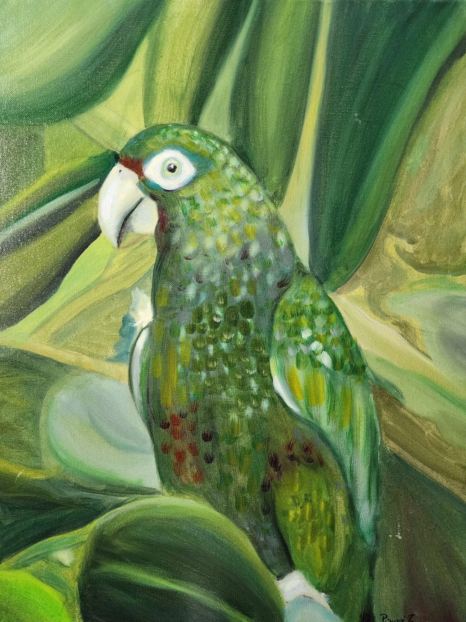 Parrot Paradise