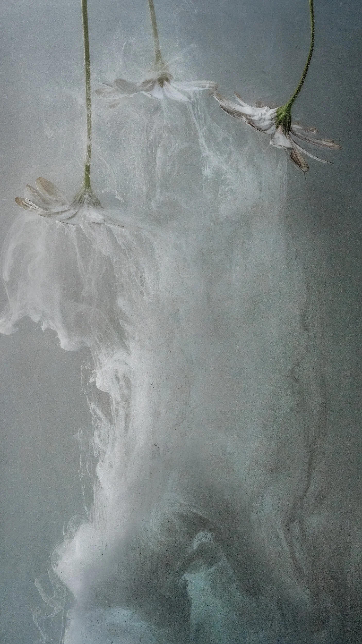 Grief Shared Web.jpg