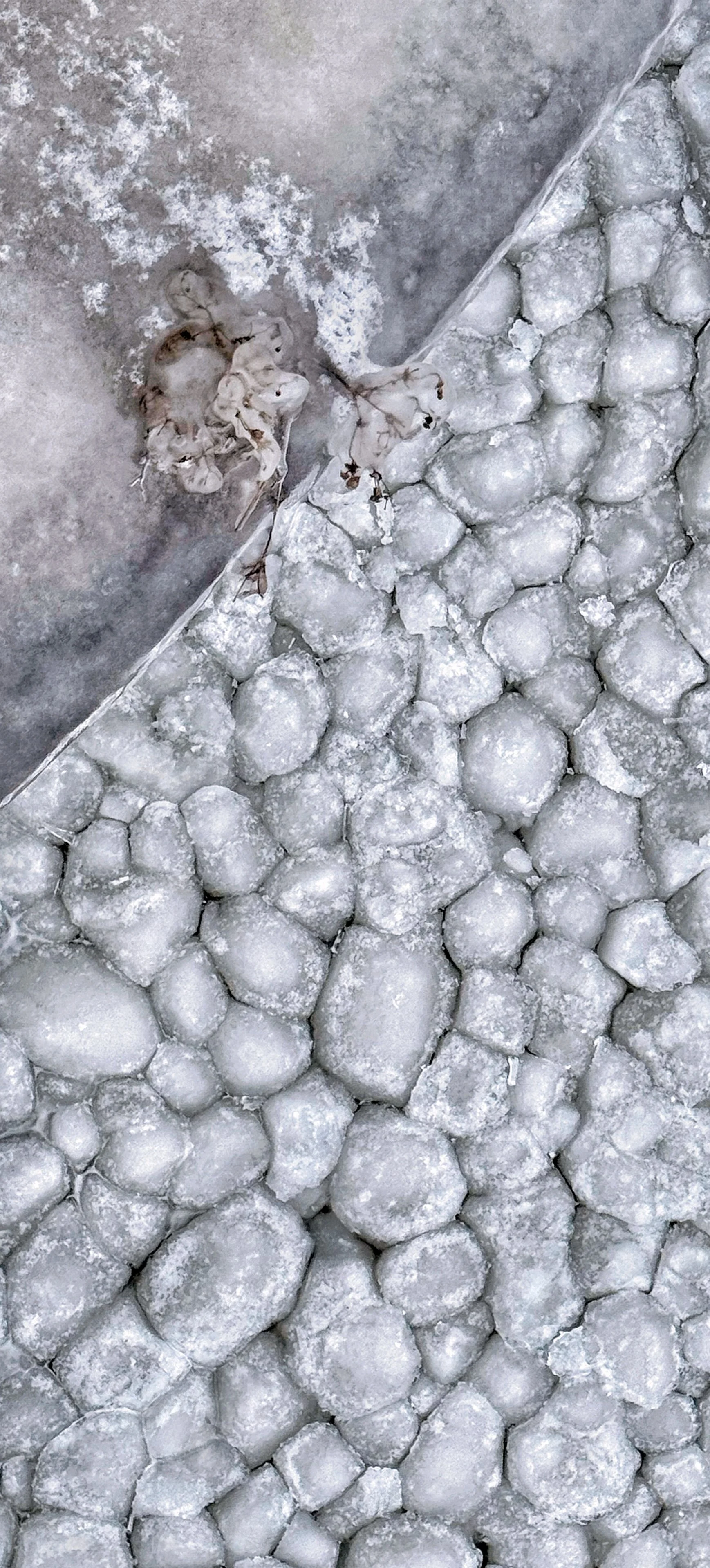 Abstract in Ice.jpg