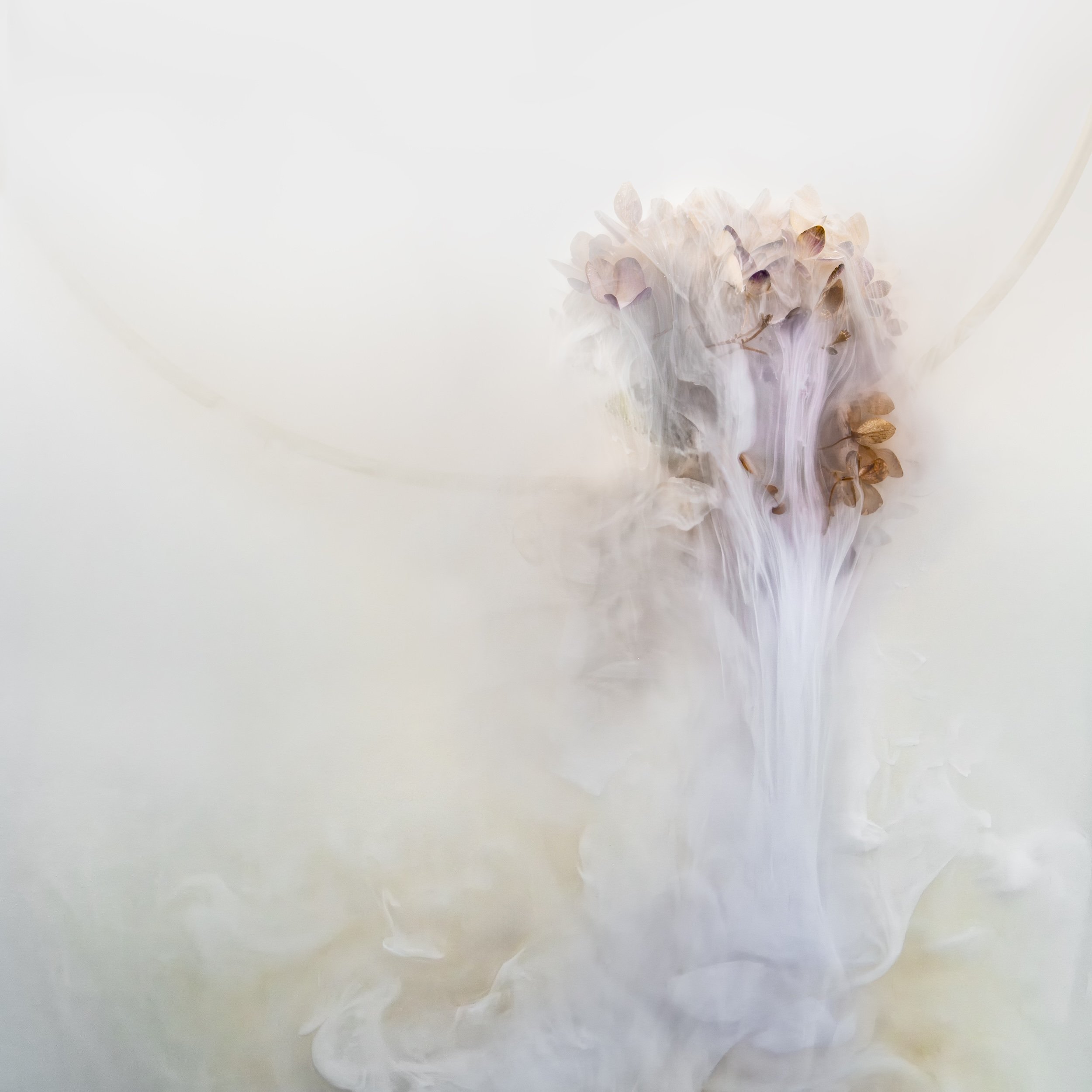 Softly Transcending