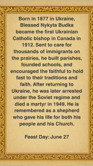 Budka back.png