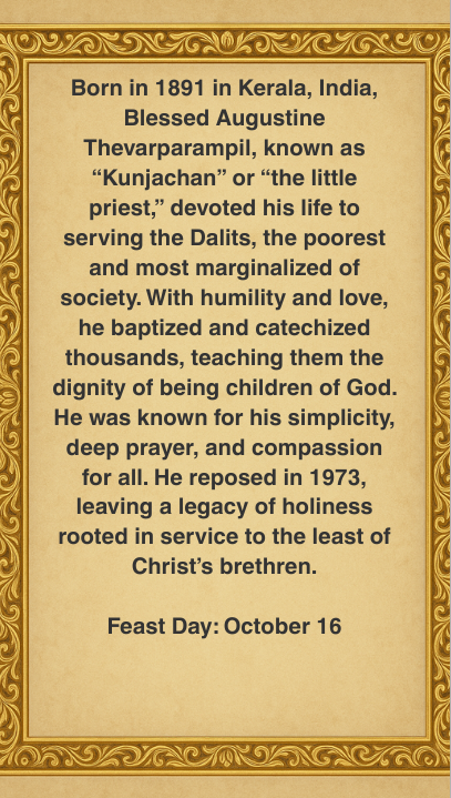 Augustine back.png