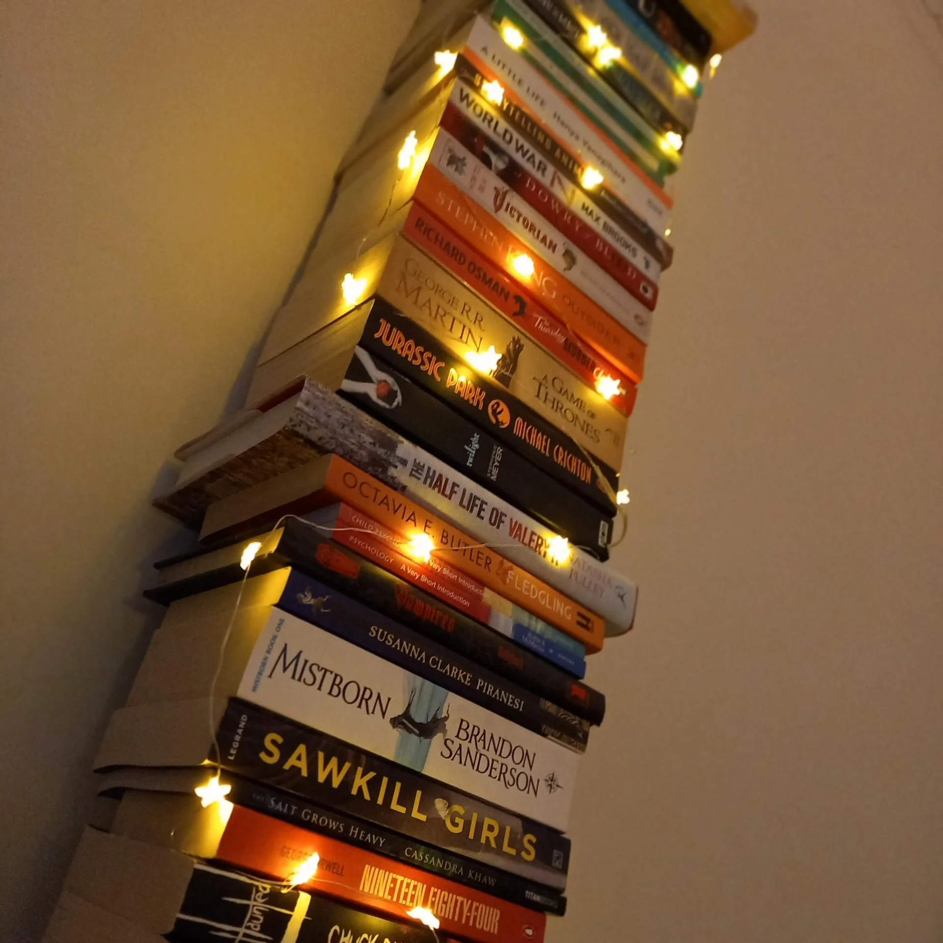 My 2025 Reading Pile