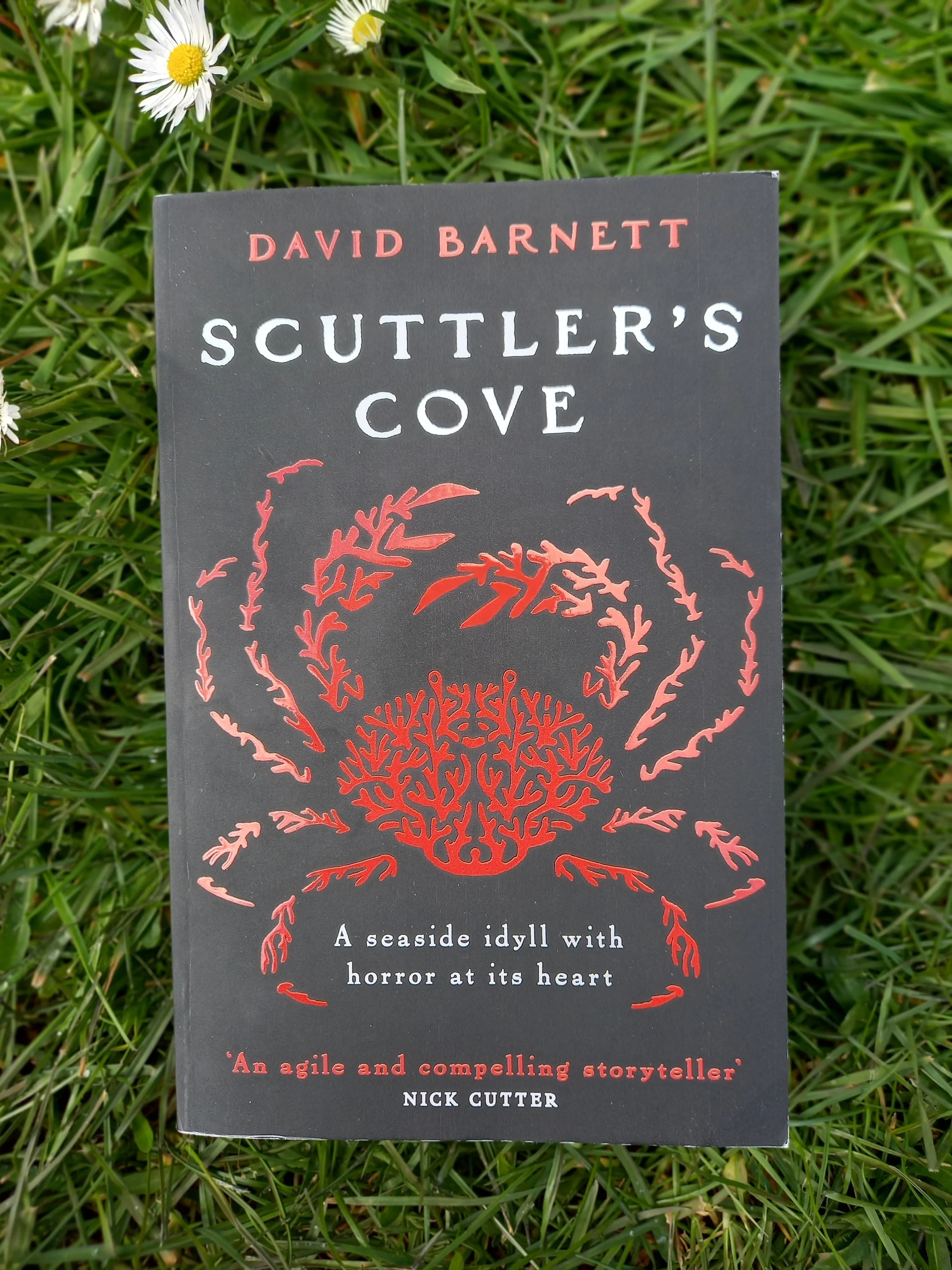 Scuttler's Cove, David Barnett