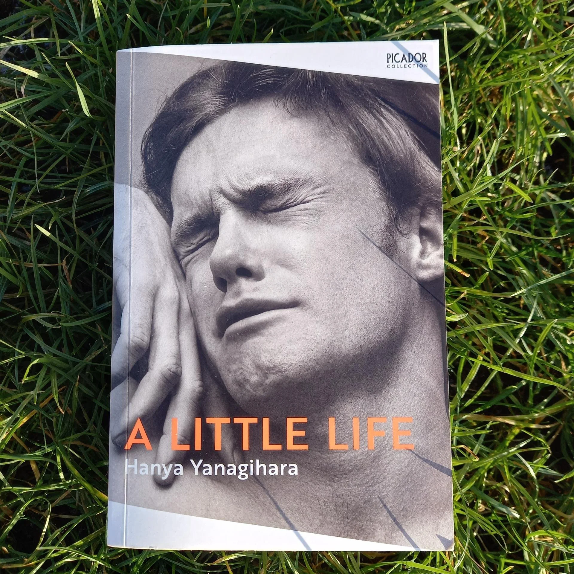 Cover for "A Little Life", by Hanya Yanagihara