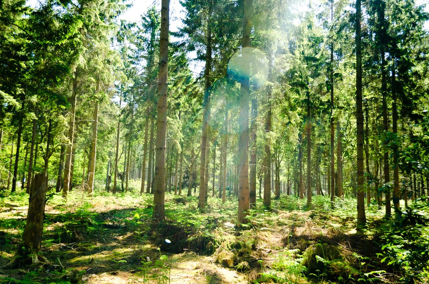 En faisons-nous assez pour renforcer notre société civile?