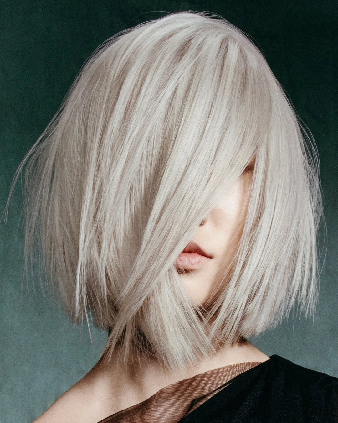 Women's Haircut | $75 - $100