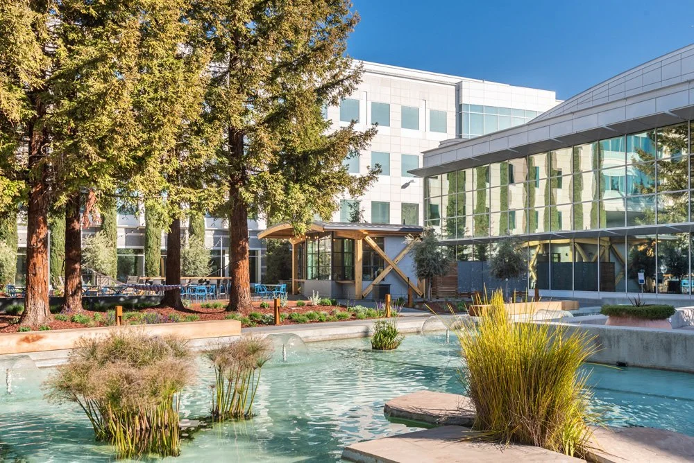 The Oasis @ PayPal [cat:ground-up-construction] [cat:restaurants-and-cafes][cat:featured]