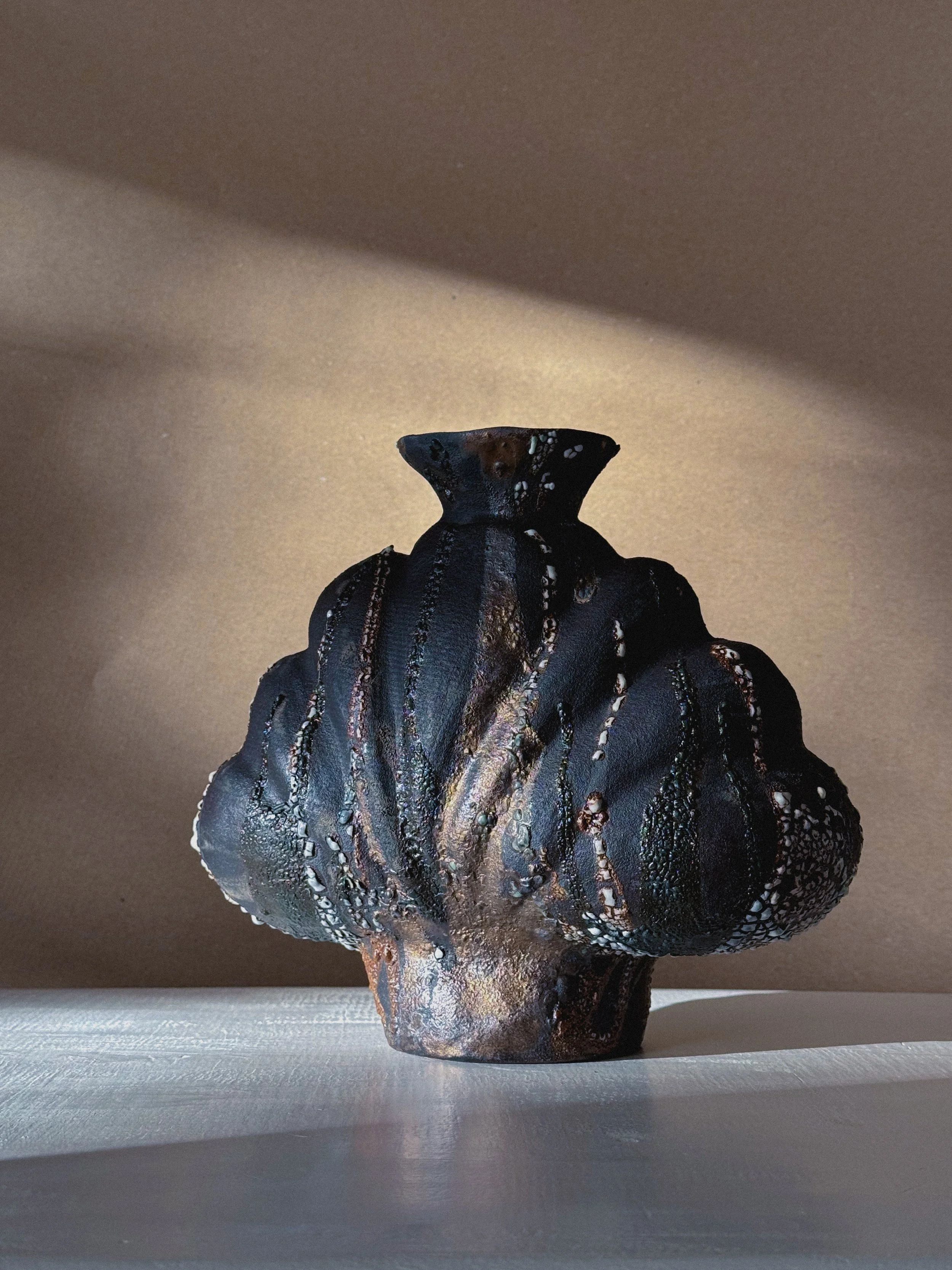 Shell in Black