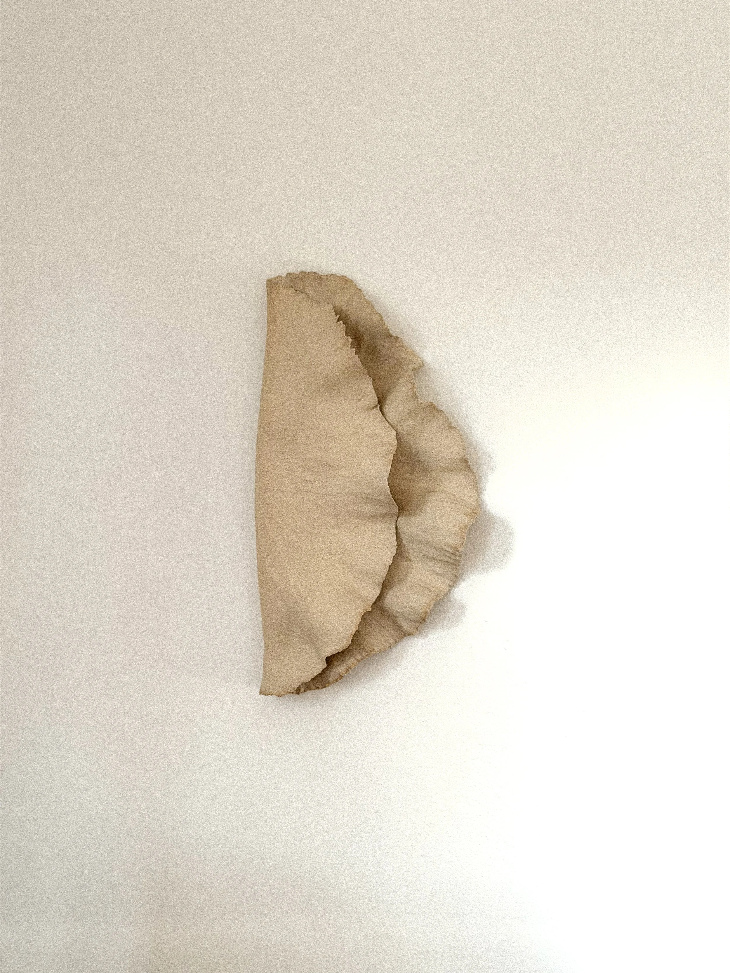 Desert Wind Wall Sculpture