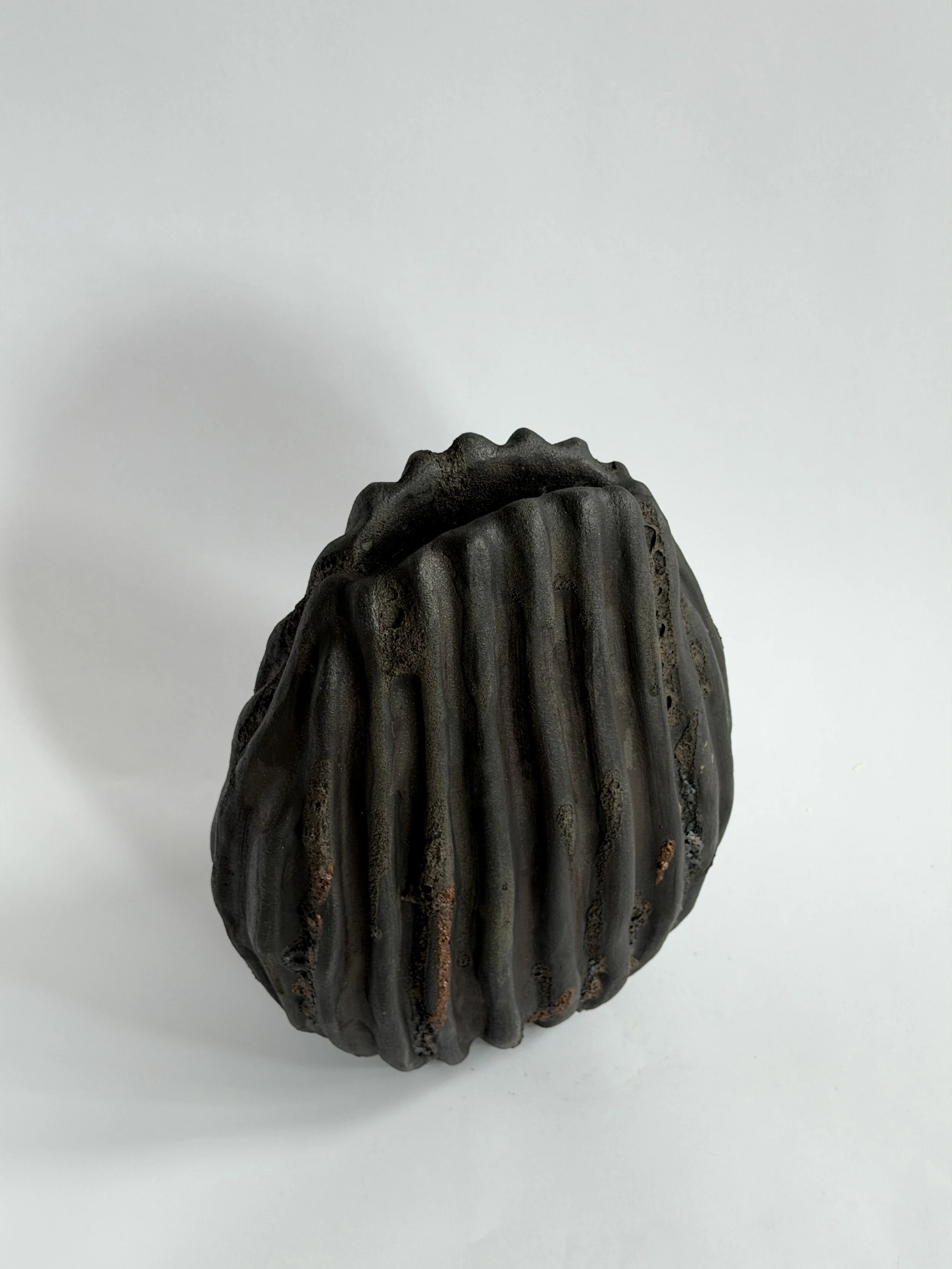 Large Black Shell Vase: shaped like a large deep-sea shell with heavy scalloped ridges in dark stoneware, a sculptural ceramic vase by