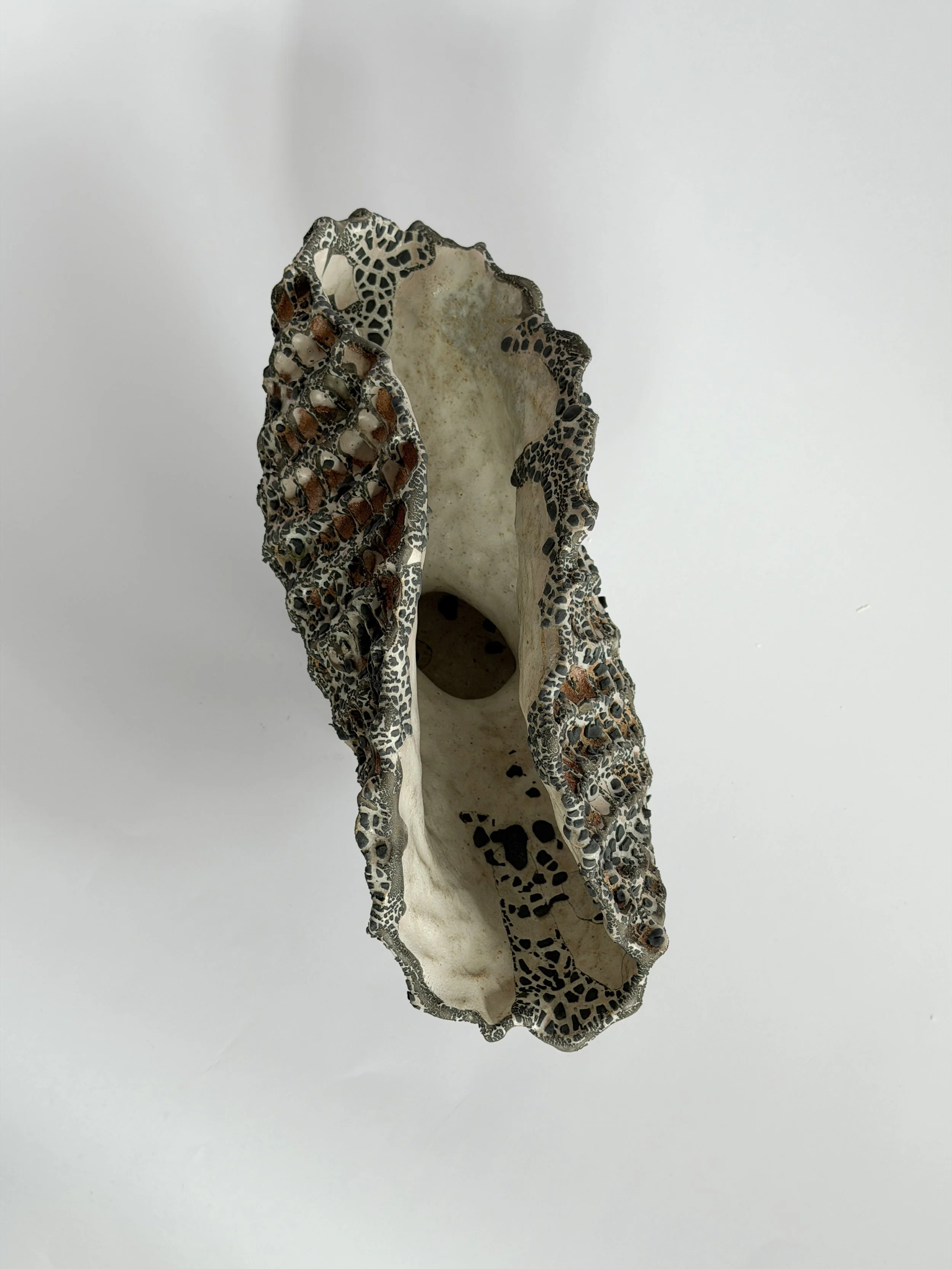 Hand-built ceramic vase: Coral Vase with Black, with a honeycomb, coral-like surface finished in black — Anastasia Babenko