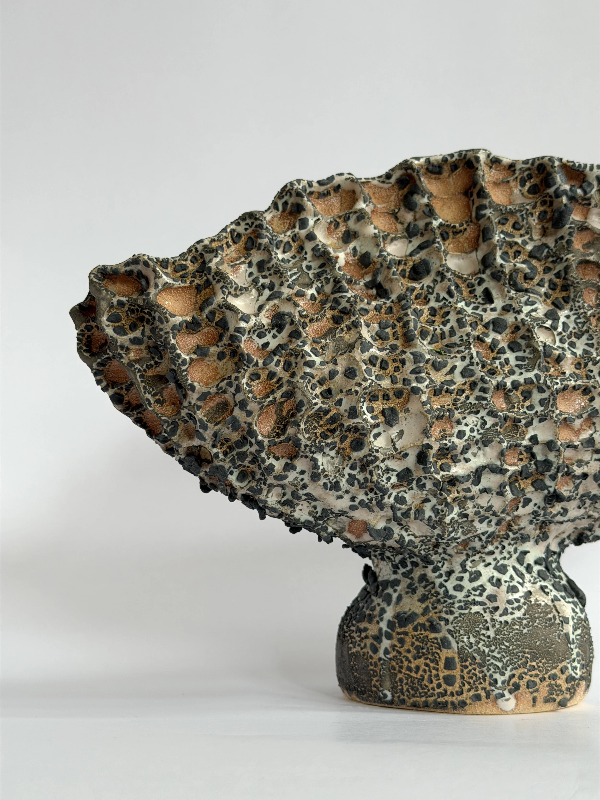 Coral Vase with Black, with a honeycomb, coral-like surface finished in black — sculptural ceramic vase made for considered, organic interiors
