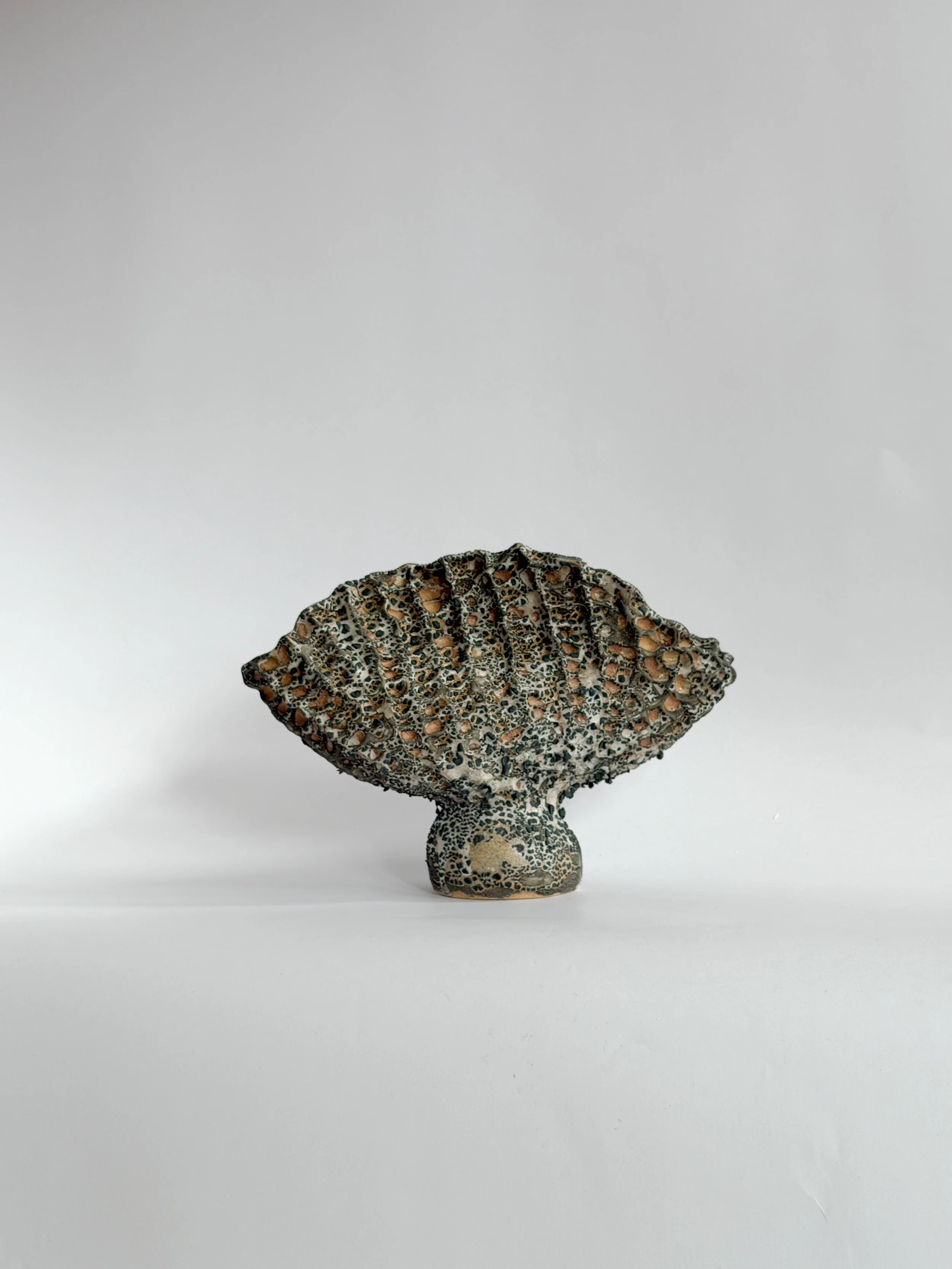 Coral Vase with Black, with a honeycomb, coral-like surface finished in black — sculptural ceramic vase sculptural decor for design-led spaces