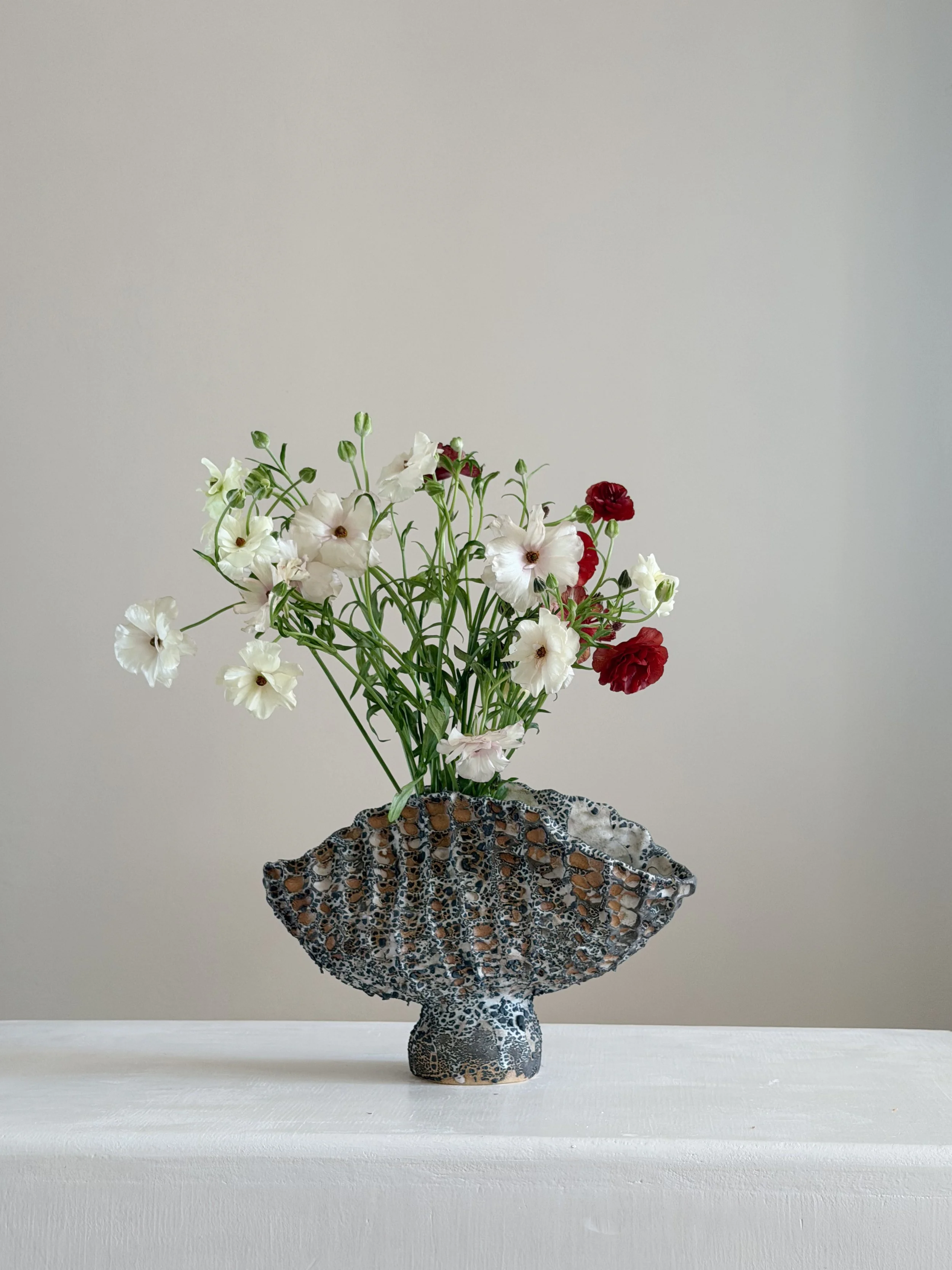 Coral Vase with Black by Anastasia Babenko — with a honeycomb, coral-like surface finished in black, sculptural decor for design-led spaces