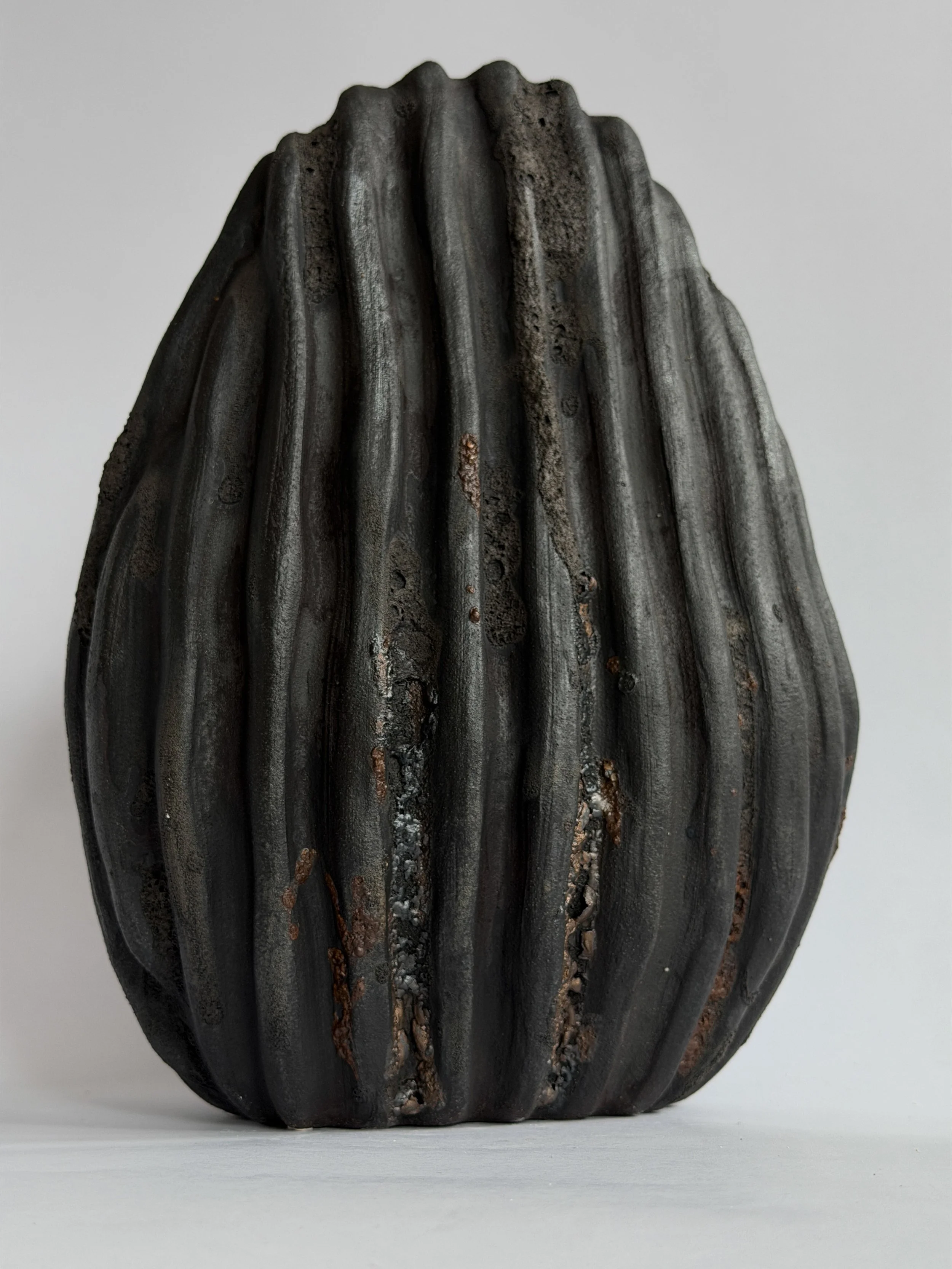 Large Black Shell Vase, shaped like a large deep-sea shell with heavy scalloped ridges in dark stoneware — sculptural ceramic vase sculptural