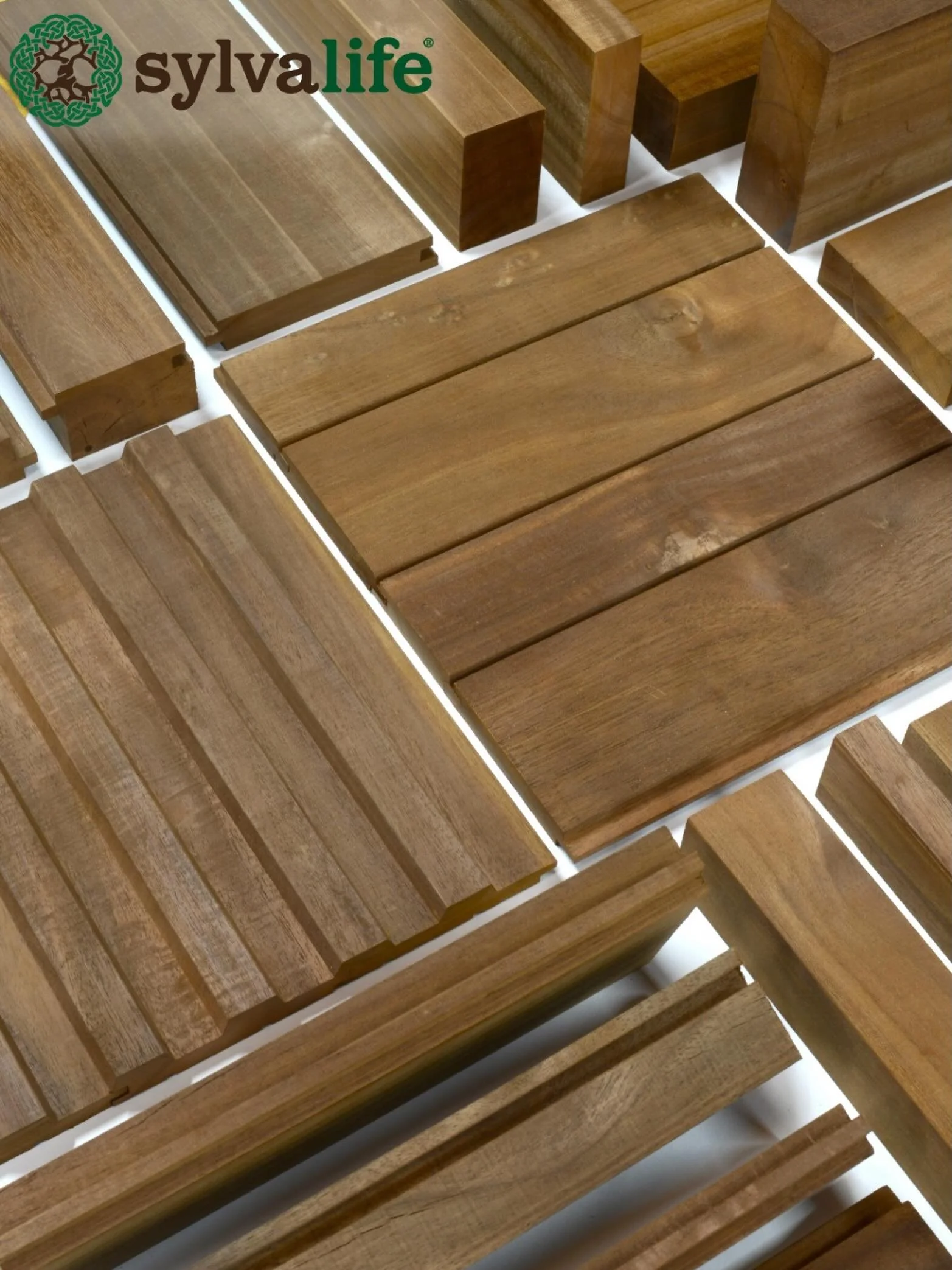 Presentamos SYLVALIFE &mdash; una nueva familia de sistemas de madera termomodificada para interiores y exteriores de Silviterra.

Fabricada con melina cultivada localmente y obtenida dentro de un radio de 50 km de nuestro aserradero en Santa Rosa de